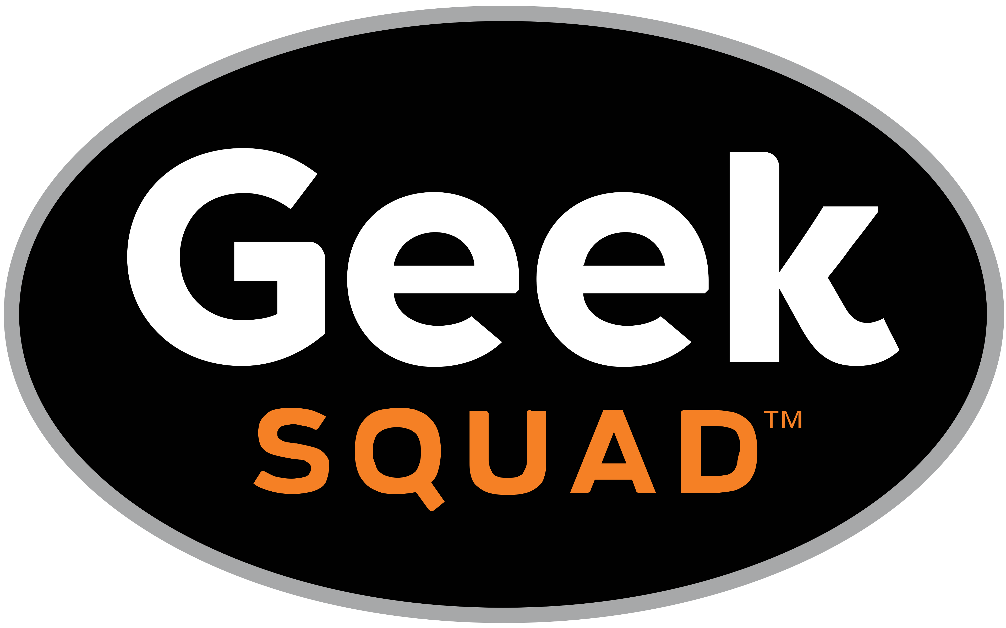 Geek Squad Official Logo
